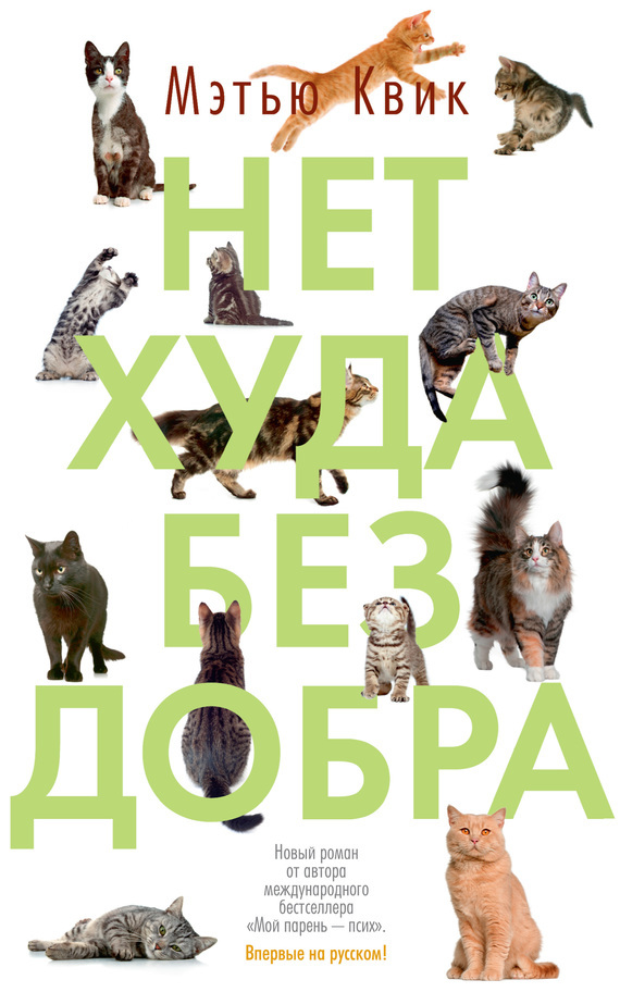 Современная Проза Нет худа без добра(Мэтью Квик) 