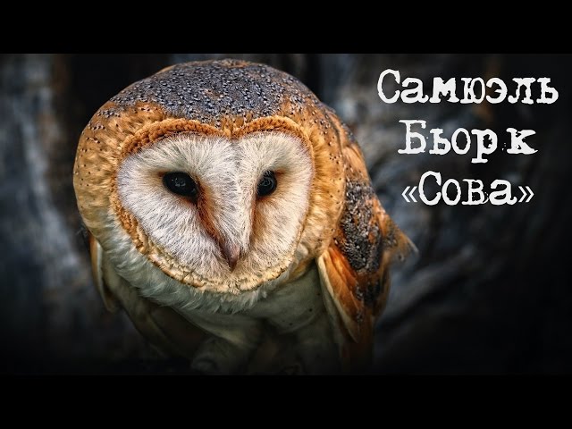 Самюэль Бьорк - Сова || Book review