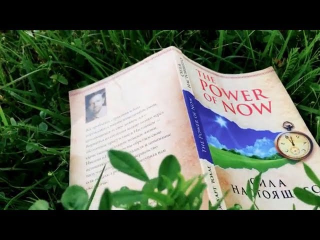 Обзор книги Сила настоящего, Экхарт Толле, The power of now